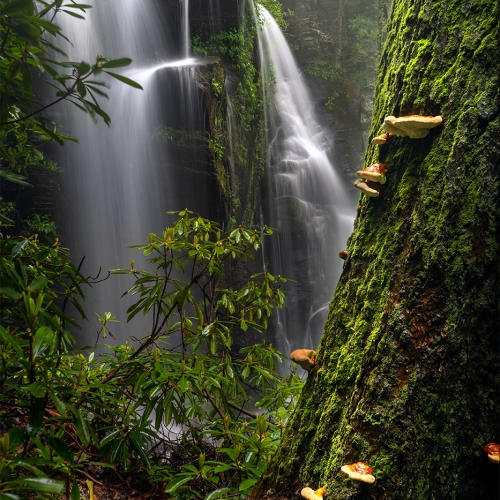 The Prehistoric Waterfall