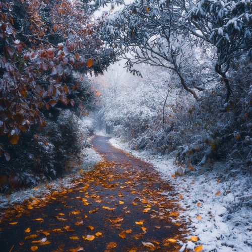 Walking In An Autumn/Winter Wonderland