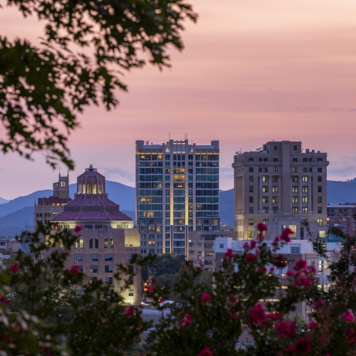 Asheville Blooms