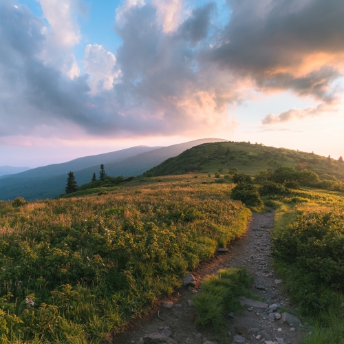 Grassy Ridge Summer Sunset
