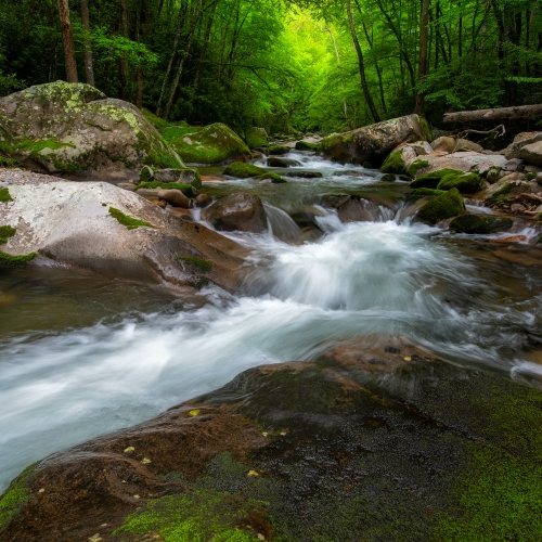 Mountain Stream