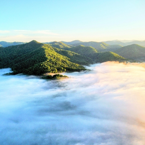 Bailey Mountain fog