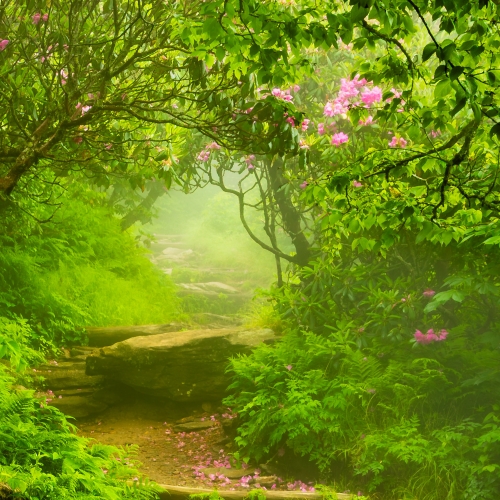 Path to the Clouds