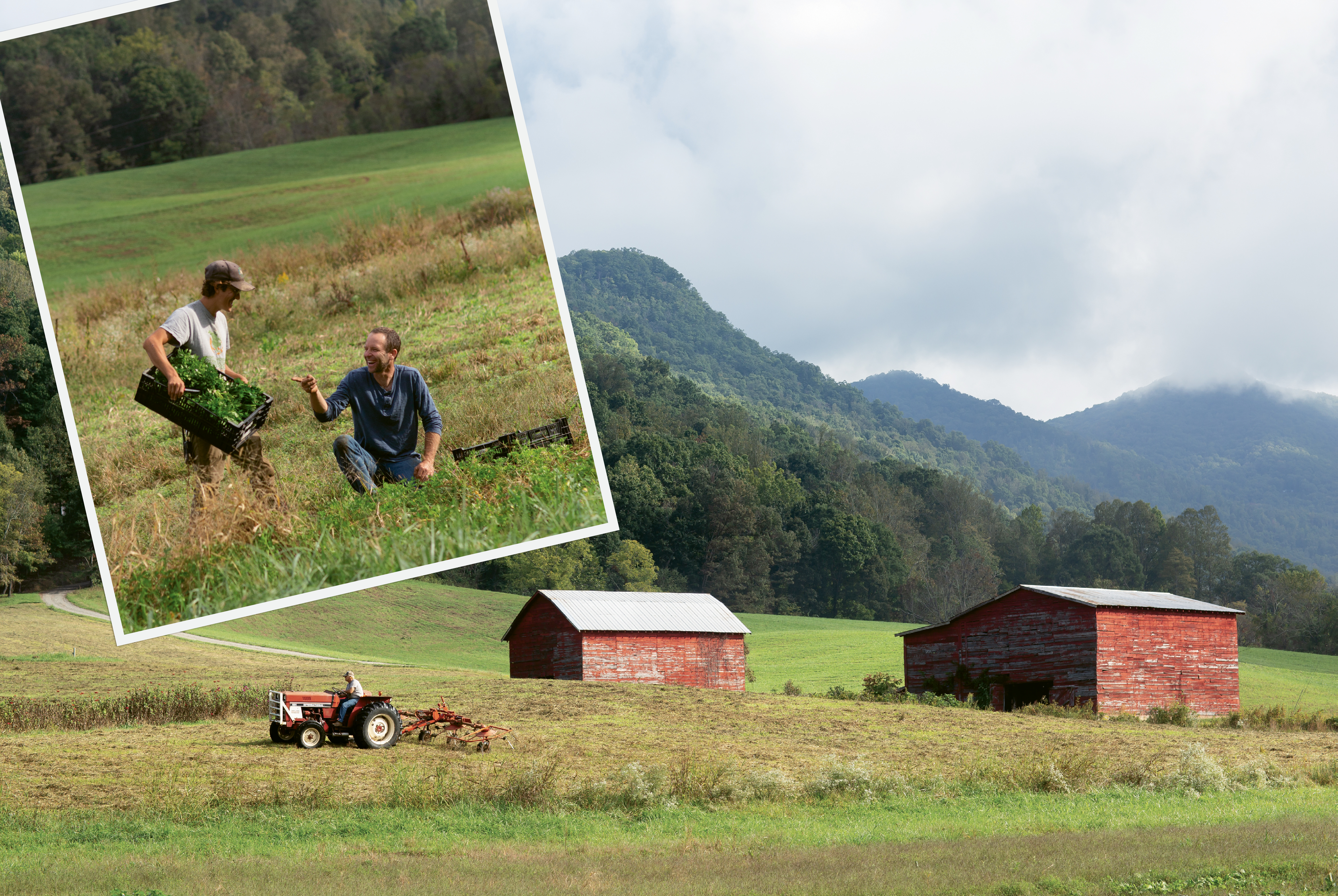 VisitNC Farms App to Help Local Agribusiness