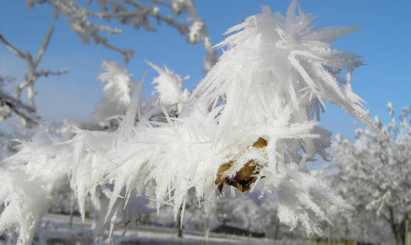 Rime Ice : Get to know the granular crystals that grace mountain ...