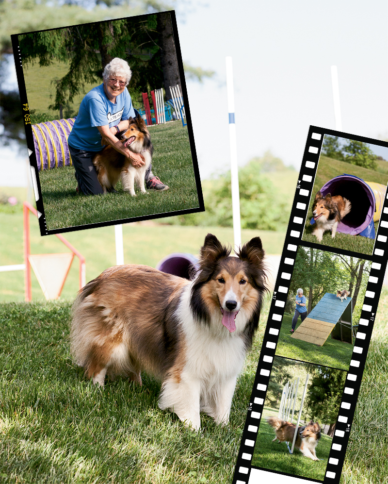 Top Dogs Meet Five Exceptional Dogs That Lead The Pack In Western North Carolina These Pups Sniff Out Drugs Race Through Agility Courses Model Dog Fashion And Guard Farms Like Pros