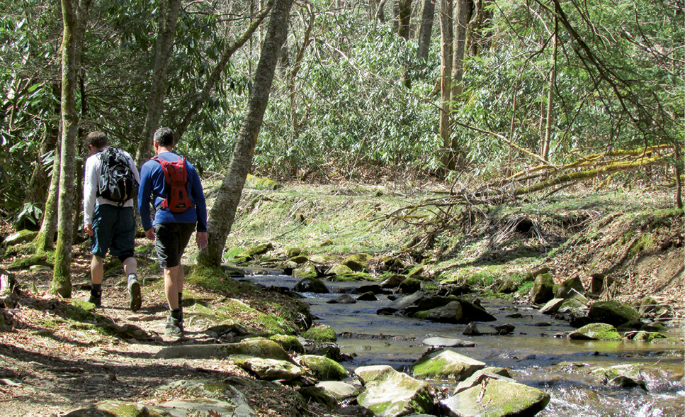 Profile Trail at Grandfather Mountain