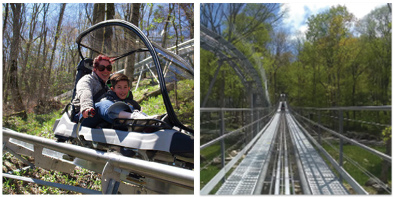 Let it Slide Banner Elk s new Wilderness Run Alpine Coaster