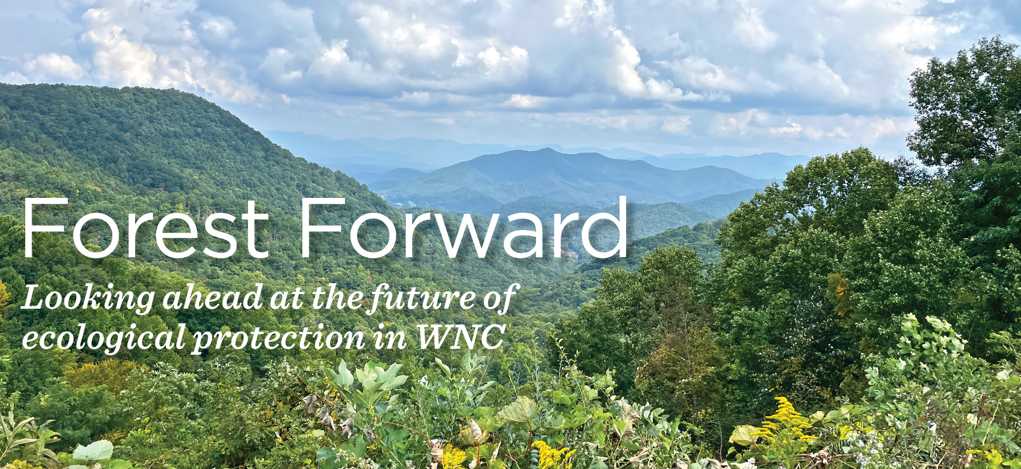 WNC Magazine | The Original Lifestyle Magazine of Asheville, NC