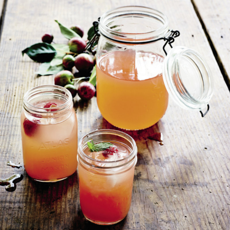 Recipe Crab Apple Juice WNC Magazine   Crabapple 