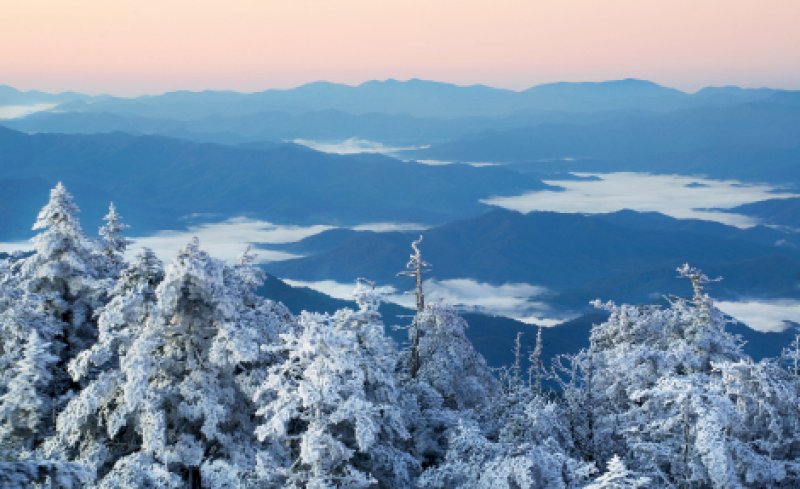 Mountain Muse : | WNC Magazine