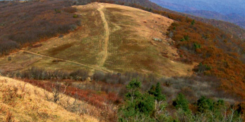 Discover the Best Hiking Trails at Sams Gap