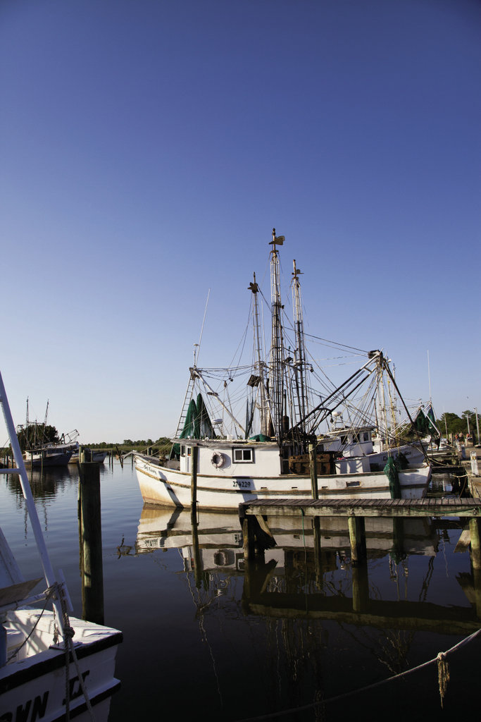 Boats come and go  to catch the fresh  seafood, particularly  oysters, that Apalachicola is famous for. Opposite, live oaks line historic streets throughout town.
