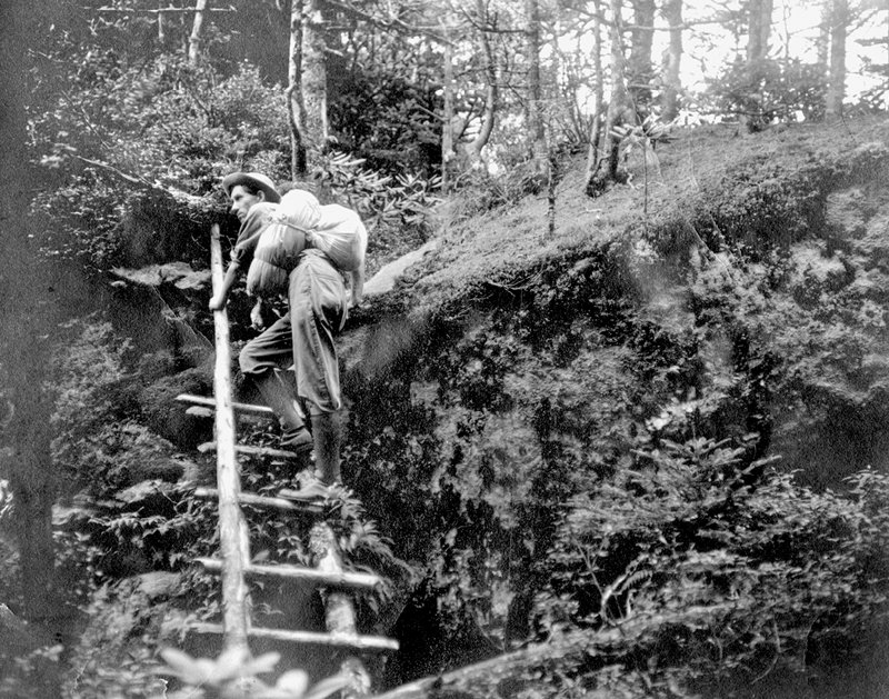 The explorer pictured here climbs a ladder in 1913, a few years after the hike Margaret Morley raves about in The Carolina Mountains.