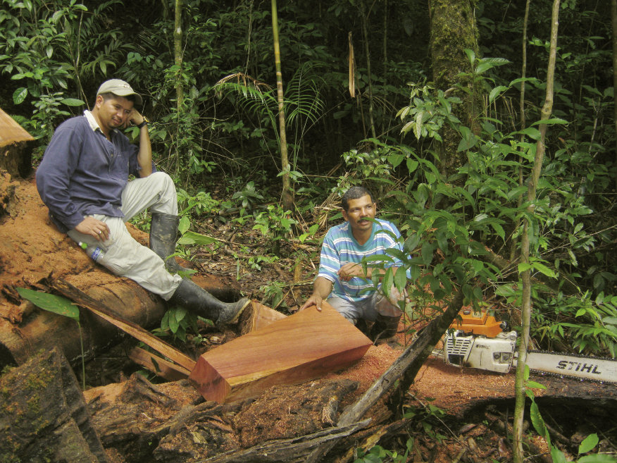 Boggs&#039; efforts to conserve rainforests include working with sawyers in Honduras to encourage the sustainable harvesting of mahogany.