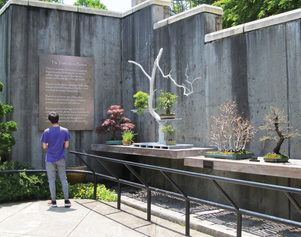 The Bonsai garden.