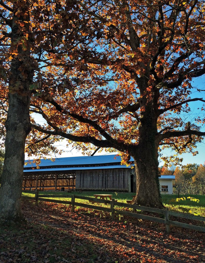 John C. Campbell Folk School