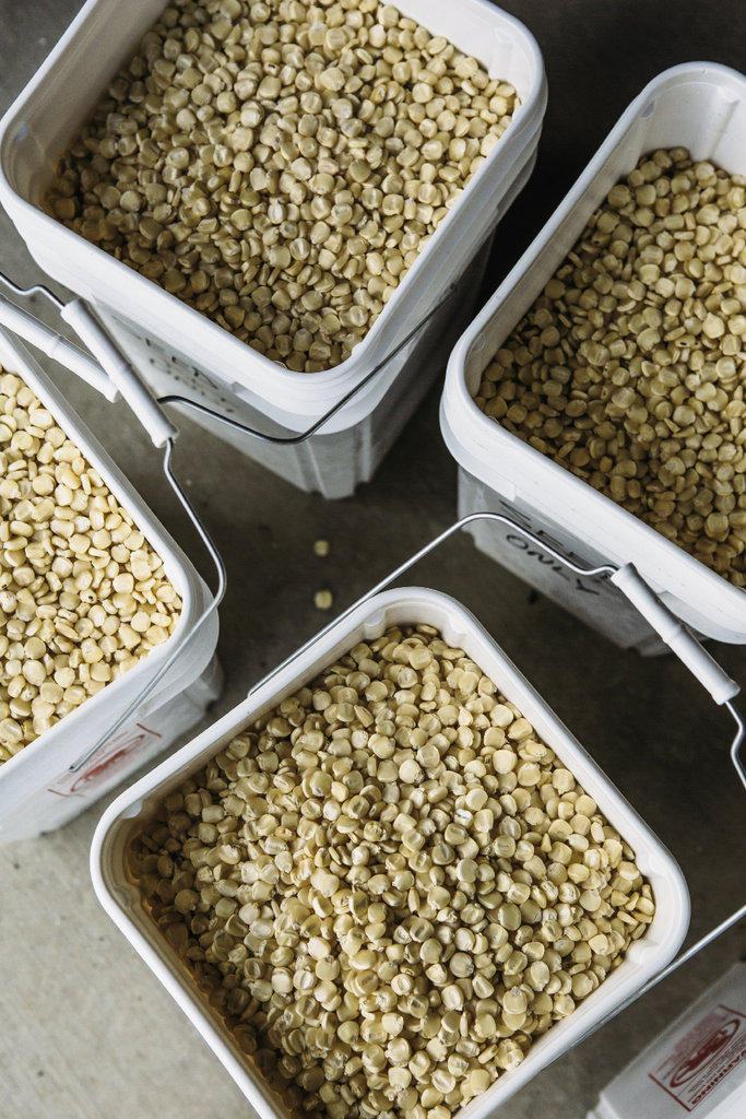 6. Buckets of cleaned kernels await milling, a process that usually happens in February when the weather is cold.