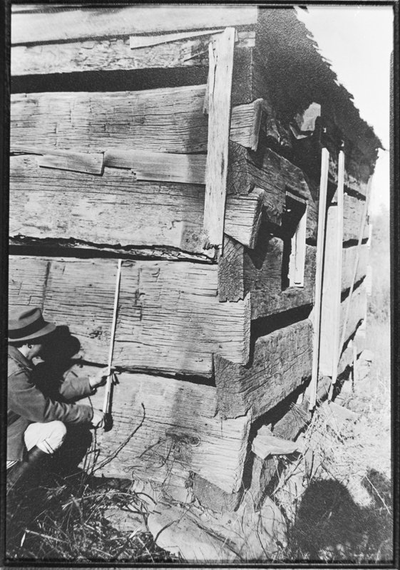 Many the colonists who settled in the mountains built their cabins of poplar because its logs were easily squared by saw, axe, and adze.