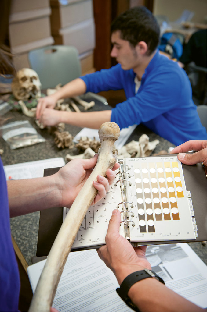 Forensic anthropology students take a Sherlockian look at decomposition through the Forensic Osteology Research Station (FOReSt) at WCU
