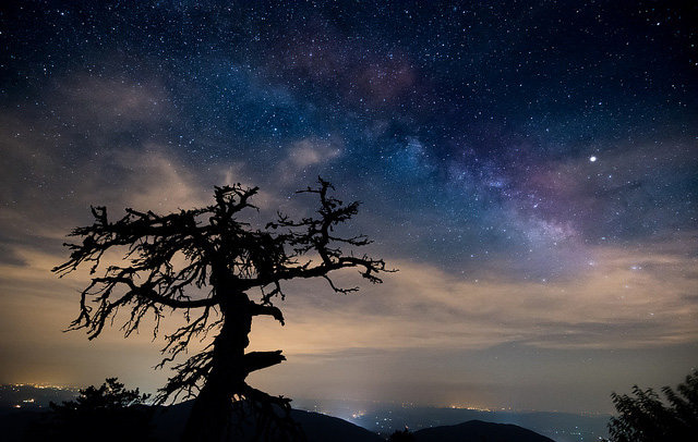 Honorable Mention: Milky Way by Teresa Sorbilli (Amateur category)
