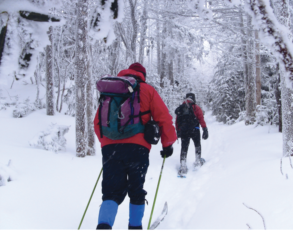 Cross-country skiing or snowshoeing is much easier than post-holing up to your knees in snow. Plus, it preserves conditions for those who follow.