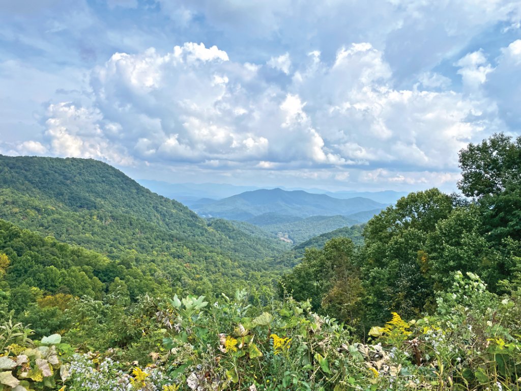 Mountain Roots - Franklin offers stunning views of the Nantahala Forest, first established more than 100 years ago under the 1911 Weeks Act.