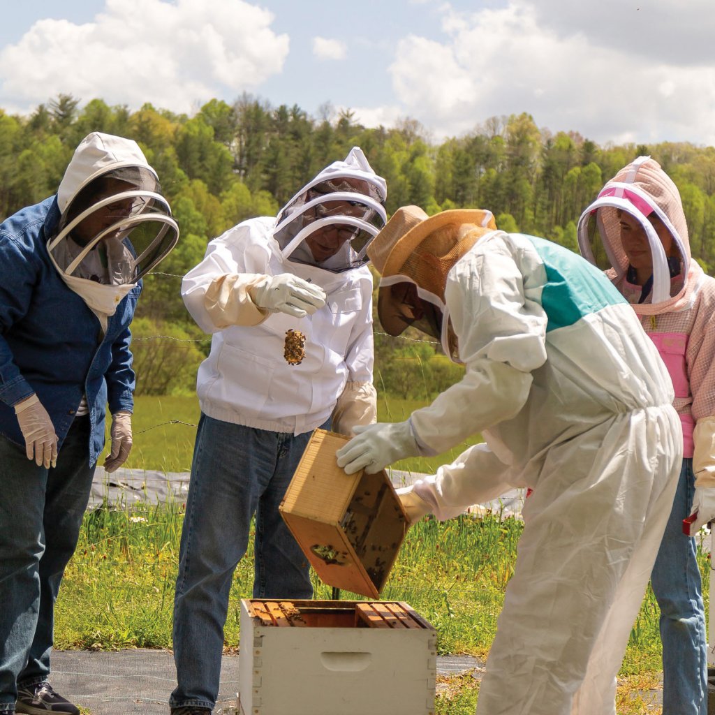Beekeeping class