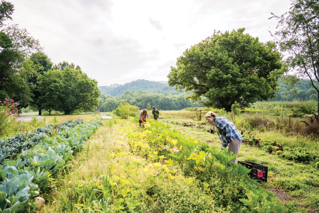 Today, the folk school still incorporates farming and other practical skills into their programs. The school’s garden helps students learn to grow their own food.