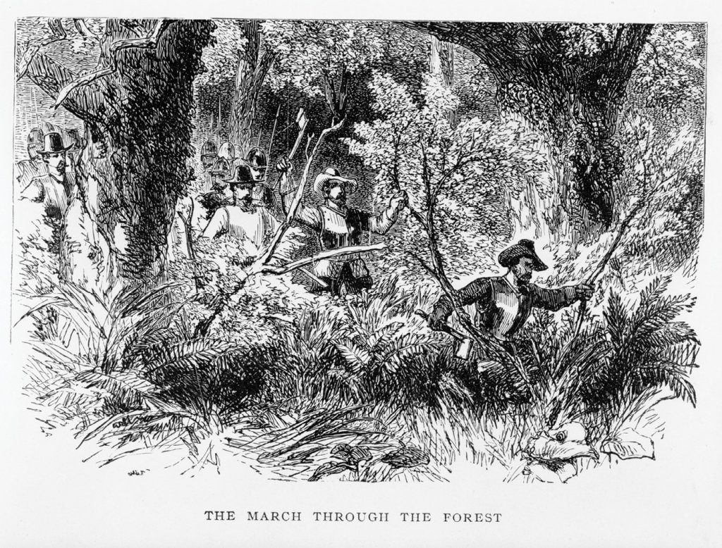 Through mangrove swamps, stands of cypress, and patches of palmetto scrub, de Soto&#039;s troop hacked their way north into the lands of the Apalachee.
