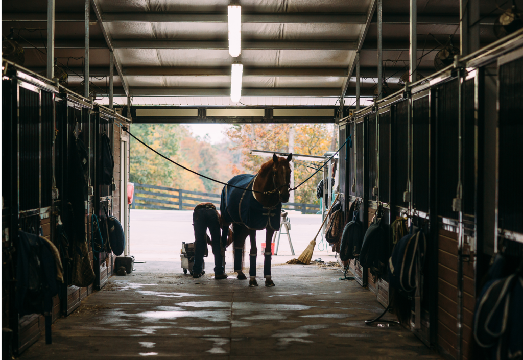 In addition to reinvigorating Polk County’s equestrian scene, TIEC has become a big economic driver for the area.
