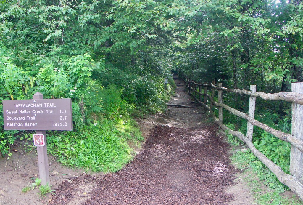 The Appalachian Trail - courtesy of Randy Johnson
