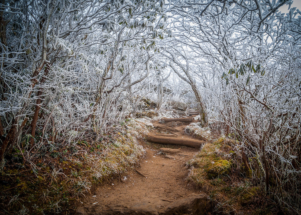 Honorable Mention: Entrance to Winter by Robert Stephens (Professional category)