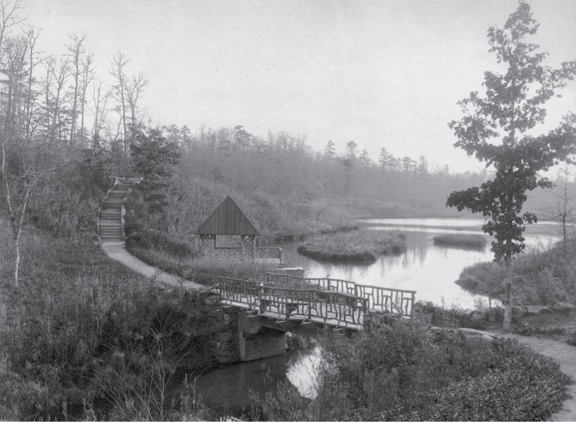 A favorite of Olmsted’s, the Bass Pond once had two little islands; one of them has disappeared over the years and is now being restored by Biltmore staff.