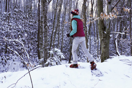 Go for the gold If you’re feeling confident after trekking the snowshoe trails at Beech Mountain, sign up for the N.C. Championship Snowshoe Race on January 12, which is open to competitors of any skill level.