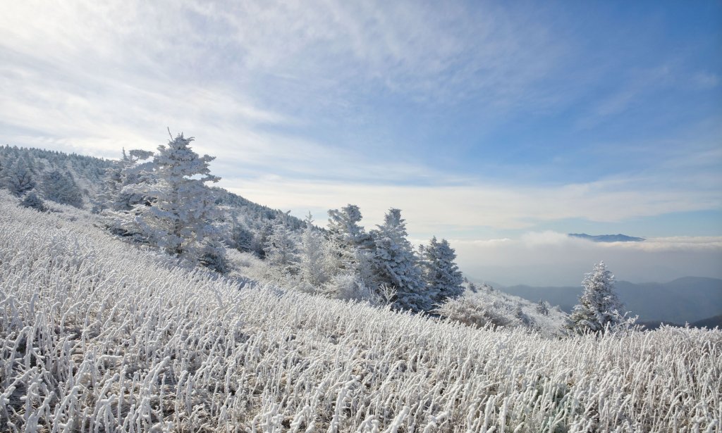 Rime Time - Roan Mountain is shrouded with rime ice as Mount Mitchell pokes through the distant fog.