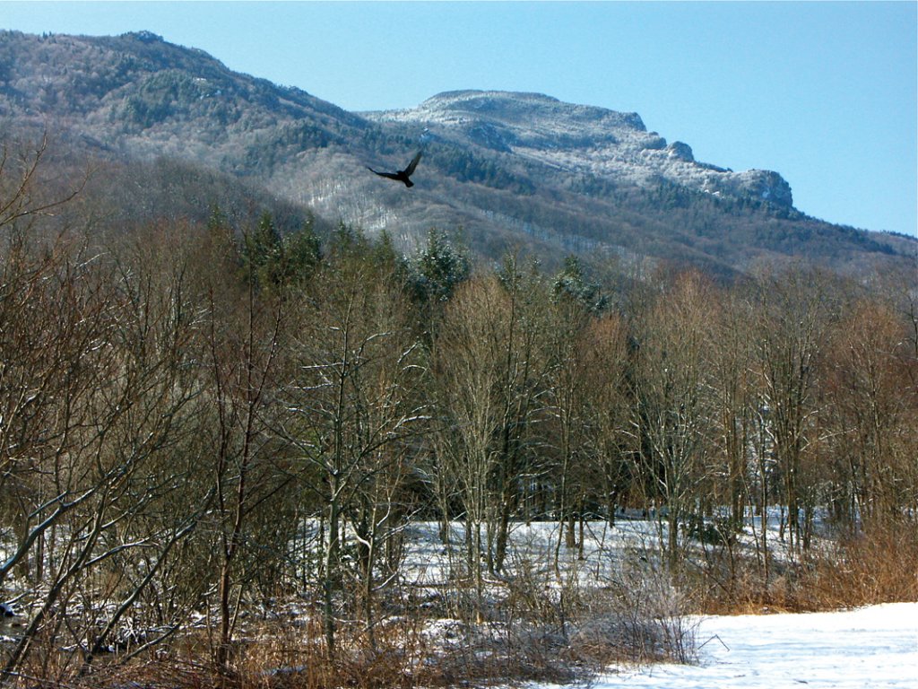 Grandfather’s highest summit, Calloway Peak (center, above bird), caps a descending ridge that to many resembles the reclining, skyward-looking face of an Old Man in winter.