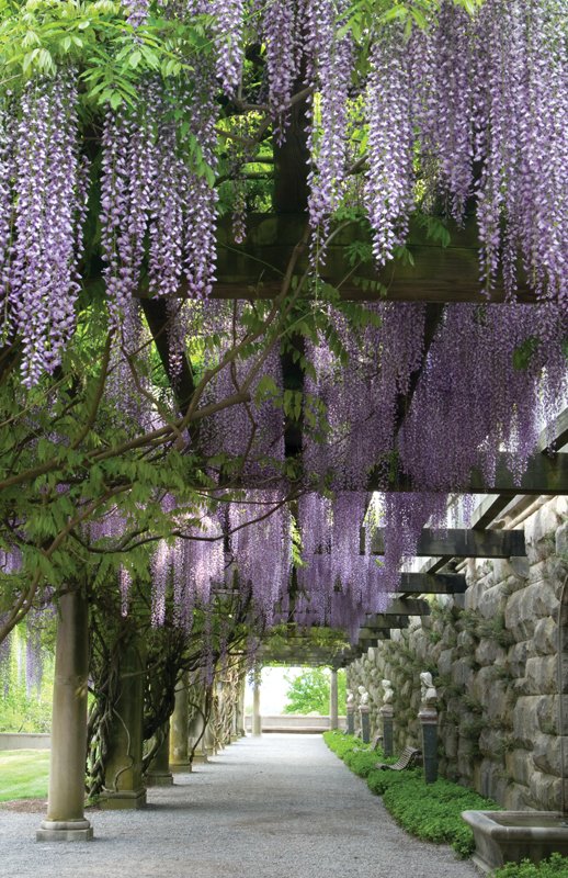 This pergola is an original design element of the Biltmore Estate gardens; on the opposite page is Southern Highland Reserve’s Vaseyi Pond.6t