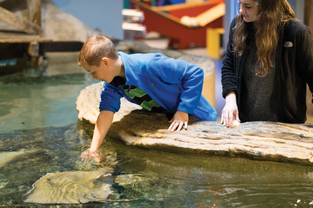 Catawba Science Center.