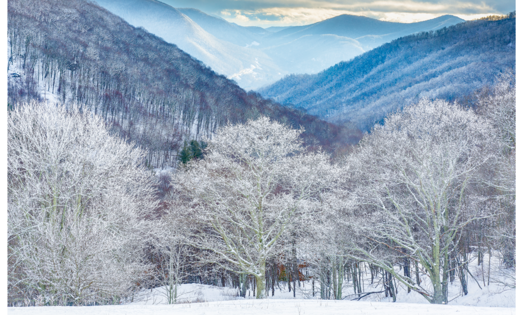 Terry Barnes, Winter in Cataloochee Valley, located in Great Smoky Mountains  National Park 1st Place Winner in the Professional Category