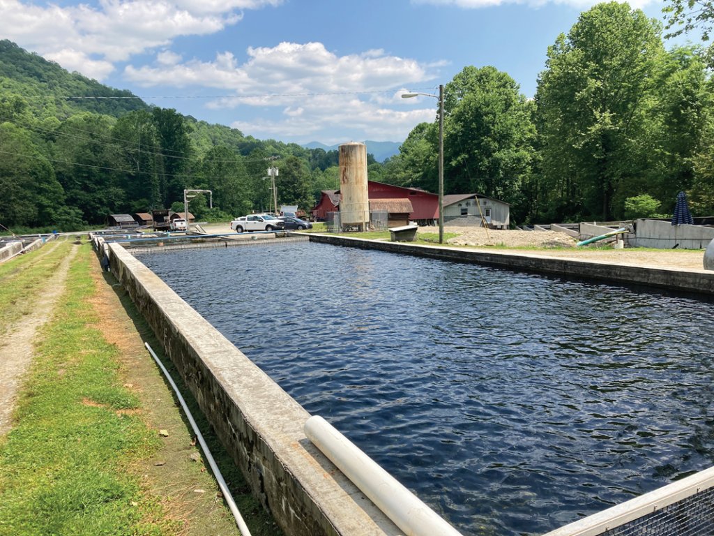 The Qualla Boundary has nearly 30 miles of rivers and three fishing ponds for trout farming.