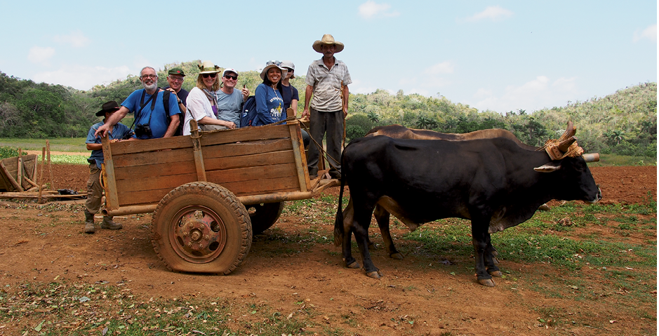 Farm and market visits, in Cuba and Bangkok, with Small Footprints