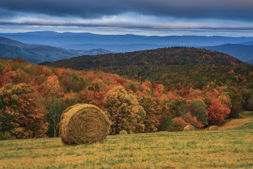 Field of dreams: The serene shades of the Blue Ridge Mountains contrast with harvest season’s vibrant palette at Matney, outside of Valle Crusis.
