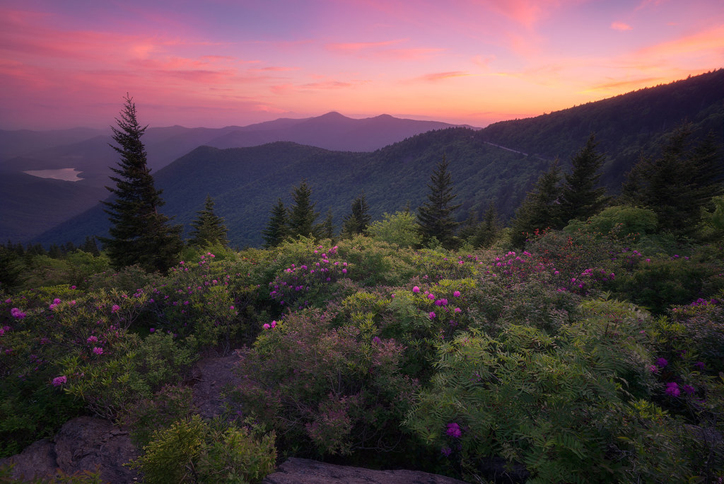 Honorable Mention: Blue Ridge Memories by Jason Penland (Professional category)