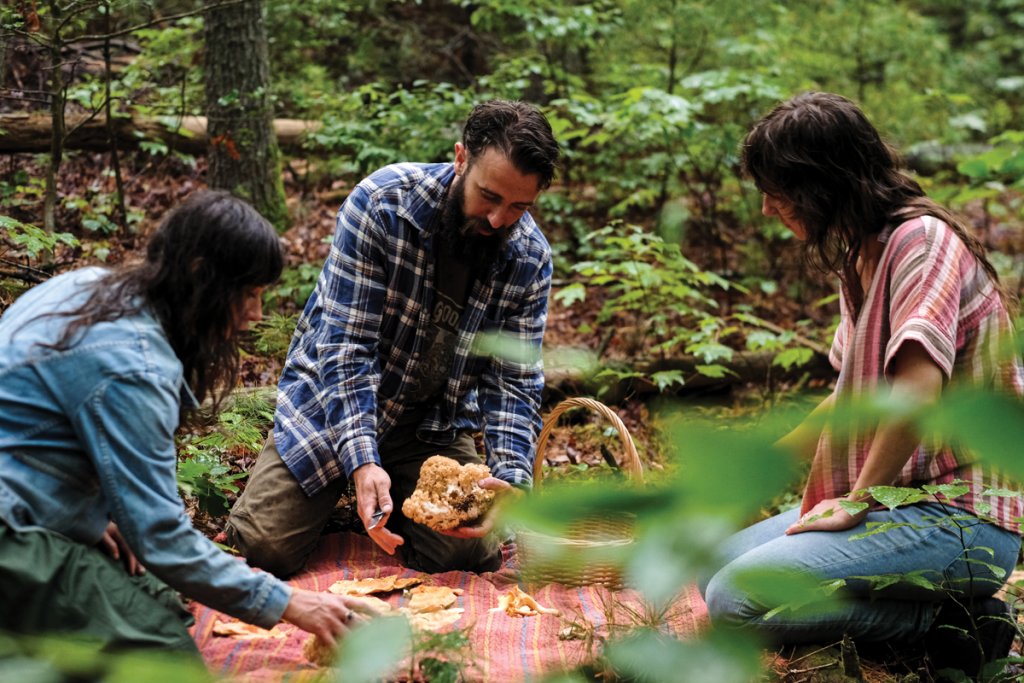 Depending on the species involved, the tree and mushroom can either be in a symbiotic relationship, or the mushroom could be parasitically preying on the tree’s nutrients.