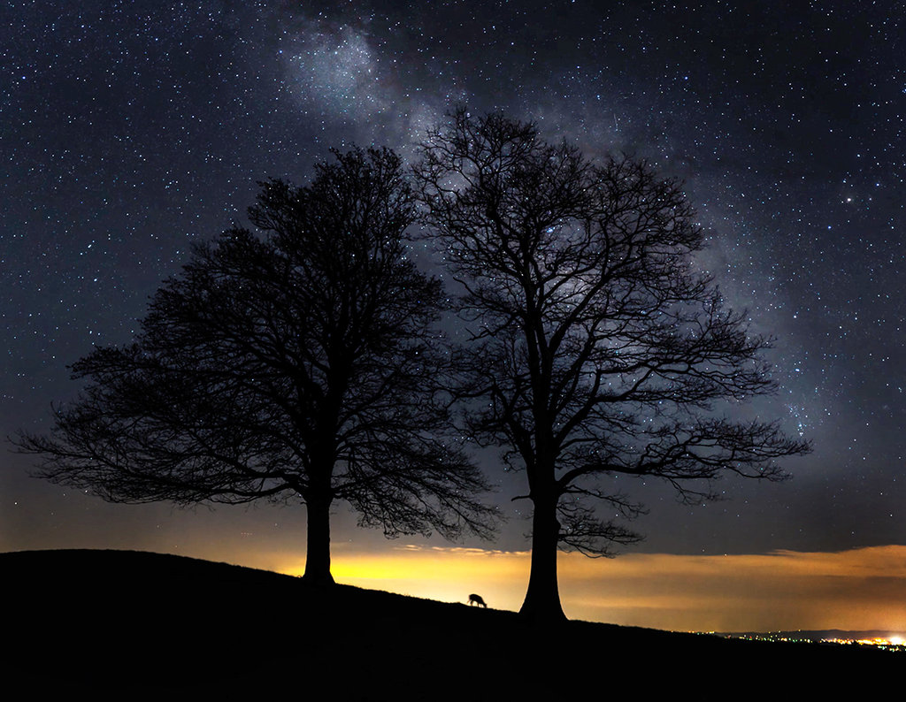 Honorable Mention: Undeer the Heavens by Jim Ruff (Professional category)