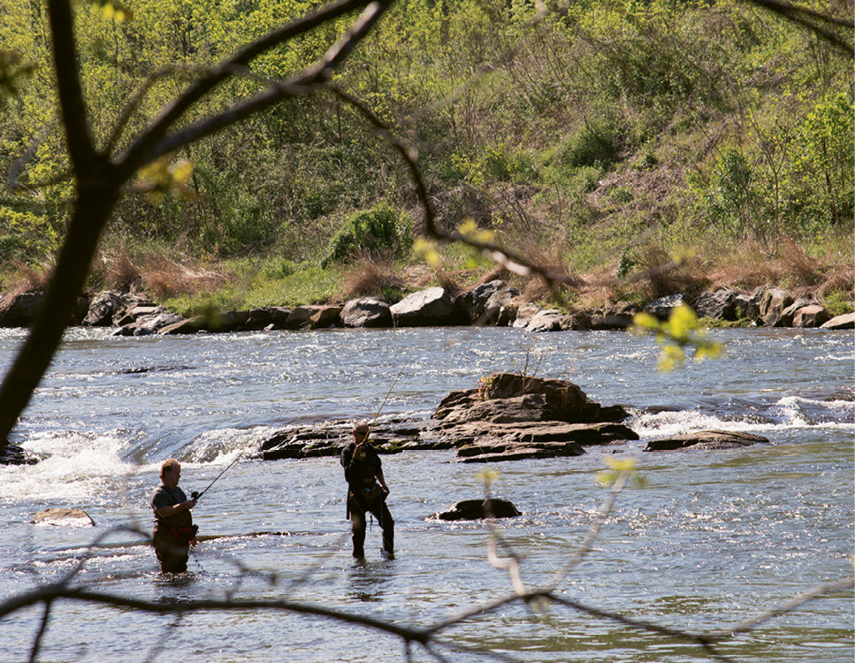 The Tuckaseegee River brims with brown, brook, and rainbow trout.