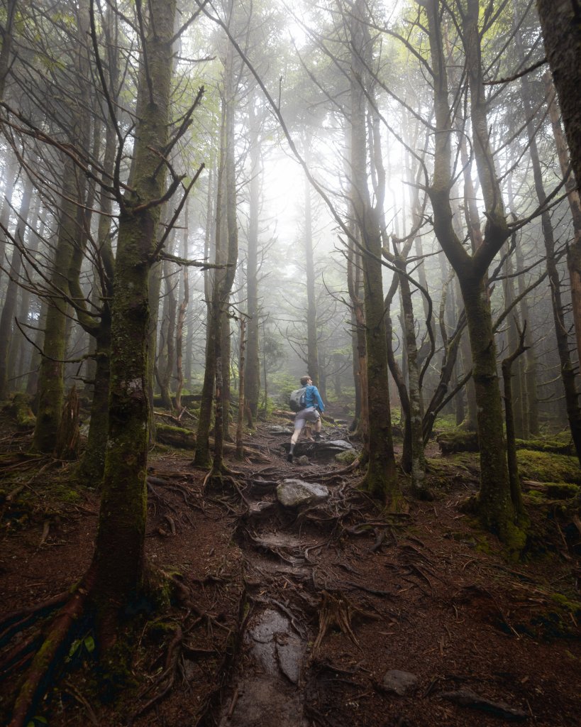Through the Misty Mountains - Eifel Kreutz In the fog, a hiker climbs through the Black Mountain Crest Trail, one of the state’s most rugged—and beautiful—journeys. {Amateur} @eifelkreutz