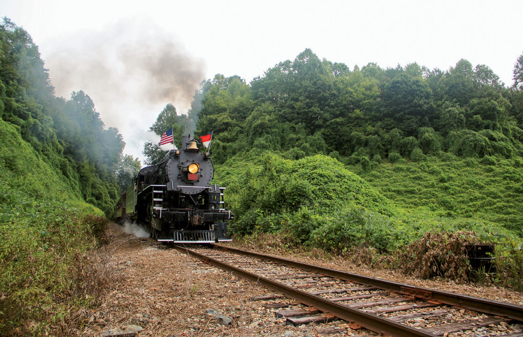 Hop Aboard: Learn about Great Smoky Mountains Railroad excursions at gsmr.com.