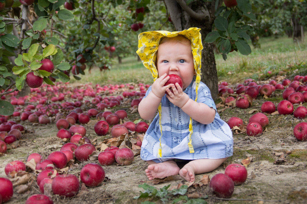 HONORABLE MENTION - CLOVER GRACE - Eliza Bell - A bonneted baby at an apple orchard in Hendersonville. Professional category